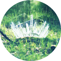 Crowned & Throned Wordpress